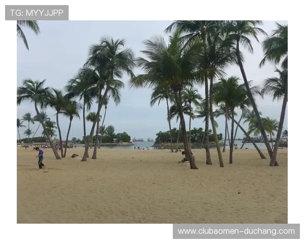 掌握澳门凯旋国际官网入口最新动态与导航方式，轻松畅游线上娱乐世界